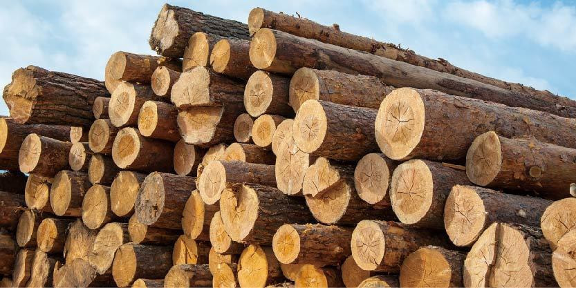木材の強さと経年劣化。 素材別強化比較。